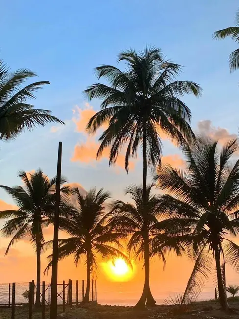 Foto 8 de Casa com 3 quartos à venda, 600m2 em Marau - BA