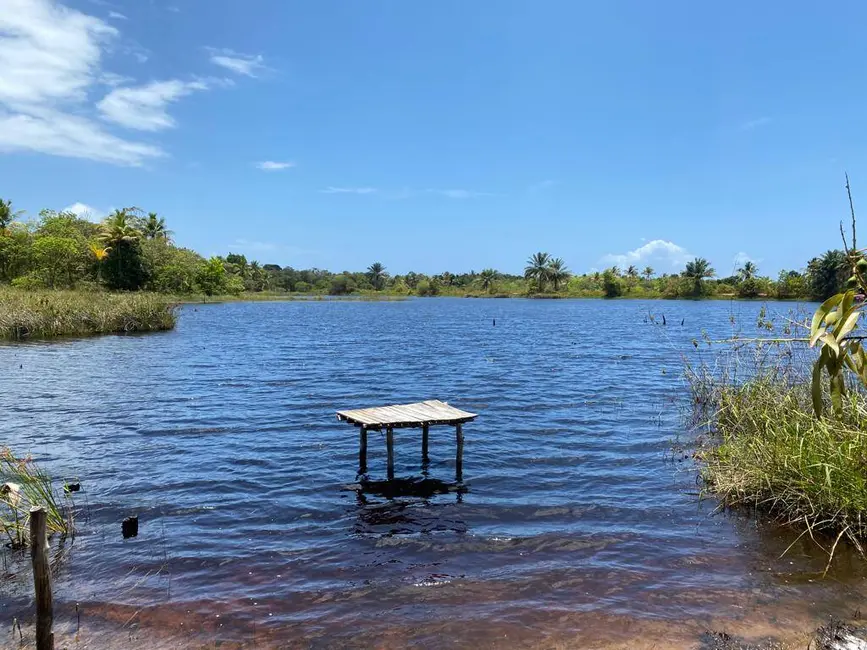 Foto 8 de Fazenda / Haras à venda, 21m2 em Marau - BA