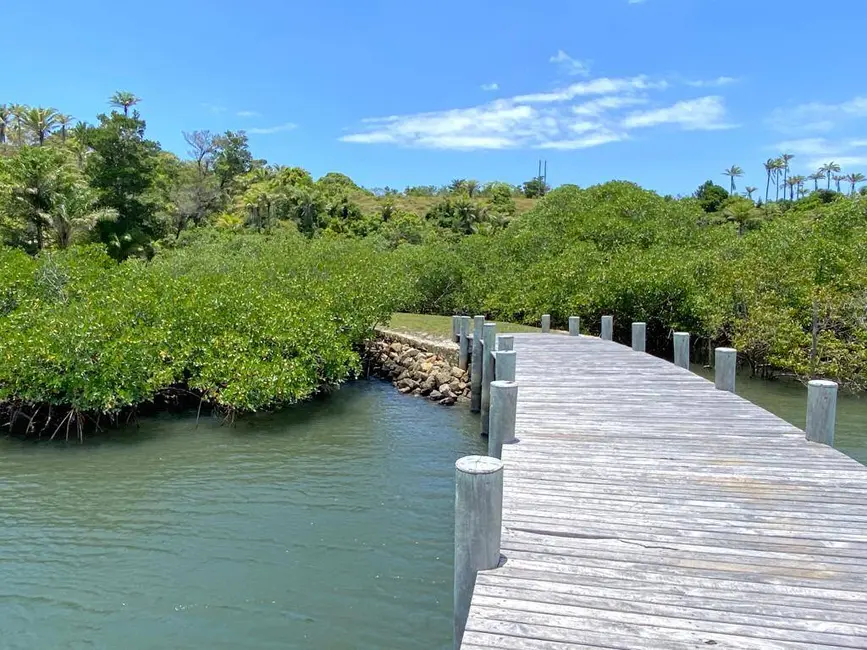 Chácara à venda em Marau - BA - imagem 3 Foto 3 de Chácara à venda em Marau - BA