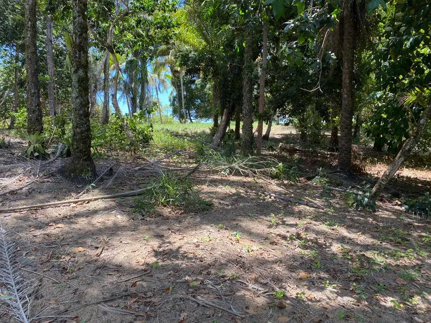 Chácara à venda em Marau - BA - imagem 7 Foto 7 de Chácara à venda em Marau - BA