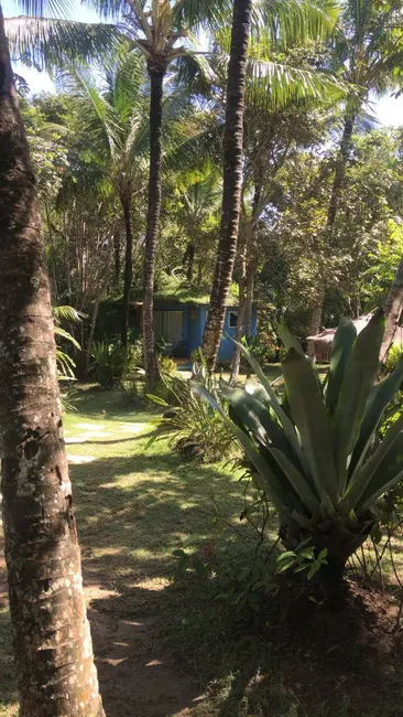 Foto 3 de Casa com 18 quartos à venda em Marau - BA