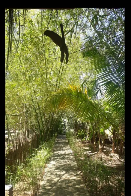 Foto 2 de Casa com 10 quartos à venda em Marau - BA