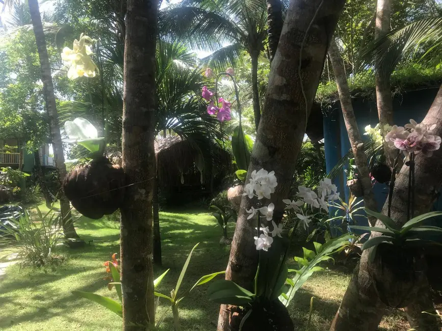 Foto 1 de Casa com 10 quartos à venda em Marau - BA