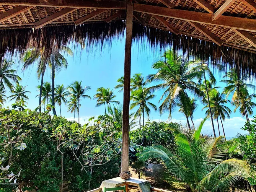 Foto 8 de Casa com 18 quartos à venda em Marau - BA