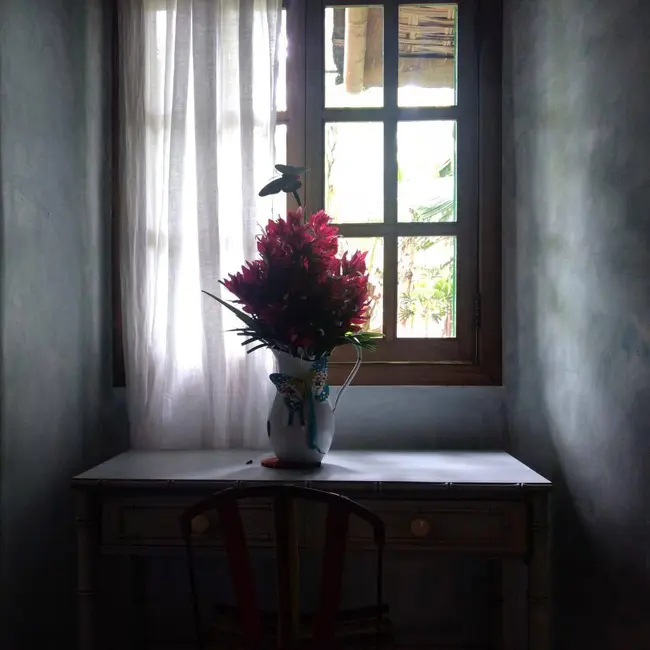 Foto 7 de Casa com 18 quartos à venda em Marau - BA