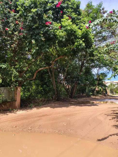 Foto 5 de Terreno / Lote à venda, 990m2 em Marau - BA