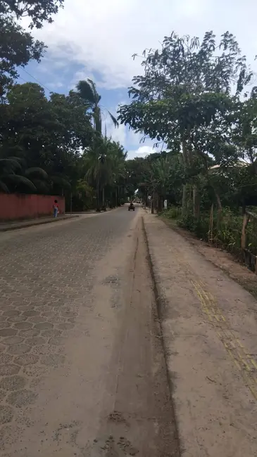 Foto 3 de Casa com 4 quartos à venda, 500m2 em Marau - BA