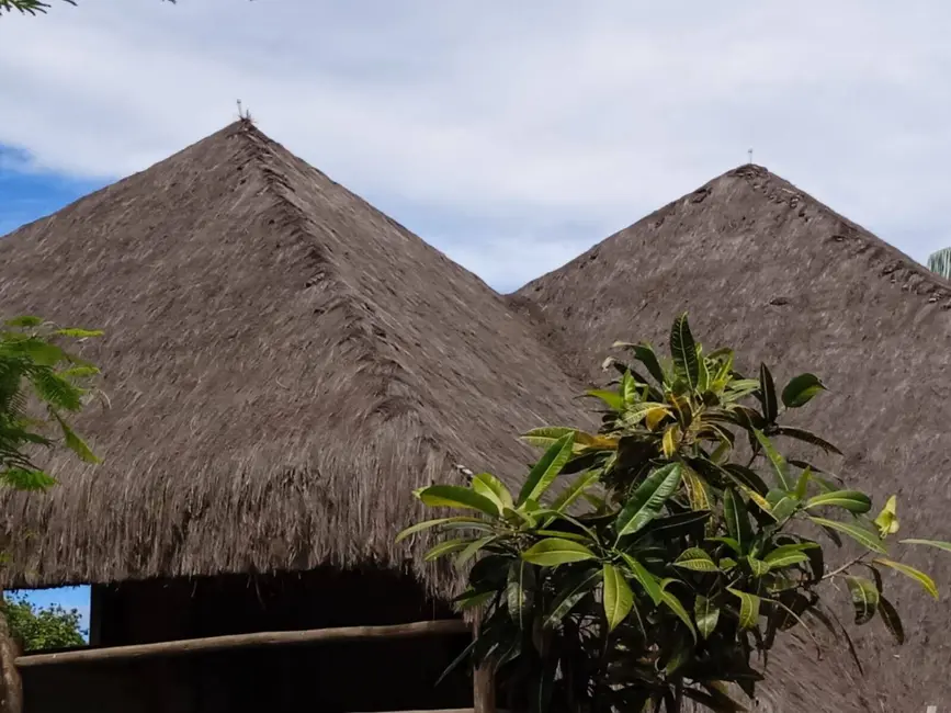 Foto 2 de Casa com 4 quartos à venda, 500m2 em Marau - BA