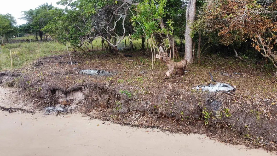 Foto 6 de Terreno / Lote à venda, 10000m2 em Marau - BA