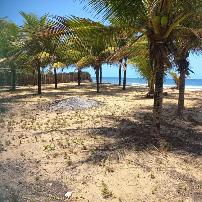 Foto 5 de Terreno / Lote à venda, 2400m2 em Marau - BA