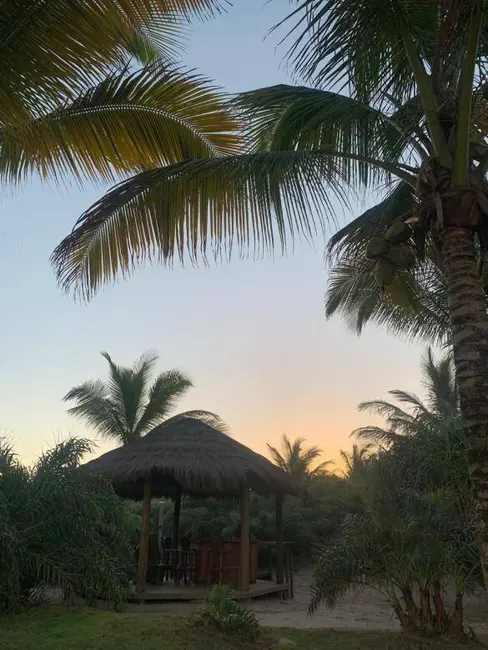 Foto 21 de Casa à venda, 58500m2 em Marau - BA