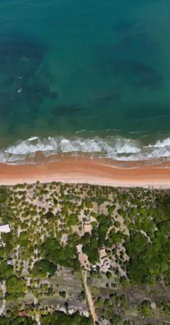 Foto 6 de Casa à venda, 58500m2 em Marau - BA