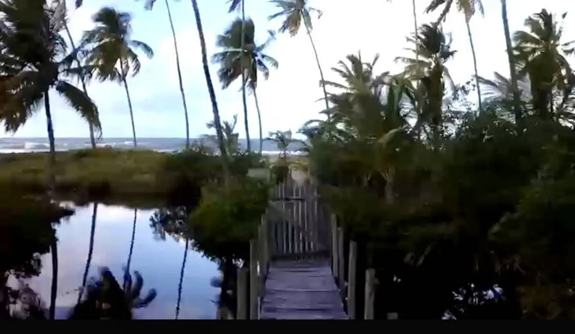 Foto 4 de Terreno / Lote à venda, 97000m2 em Marau - BA