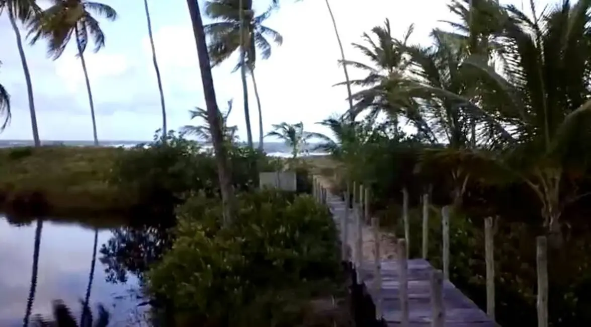 Foto 5 de Terreno / Lote à venda, 97000m2 em Marau - BA