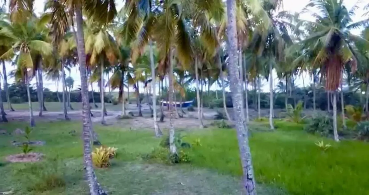 Foto 1 de Terreno / Lote à venda, 97000m2 em Marau - BA