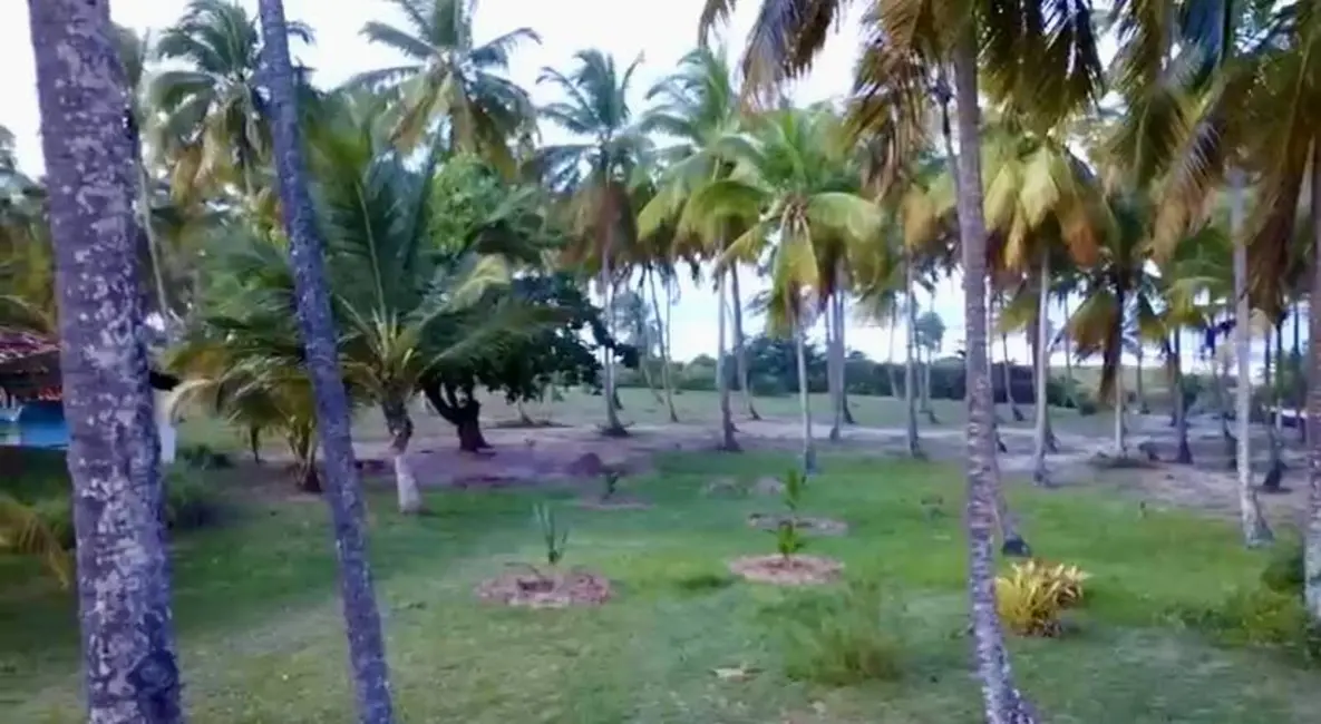 Foto 2 de Terreno / Lote à venda, 97000m2 em Marau - BA