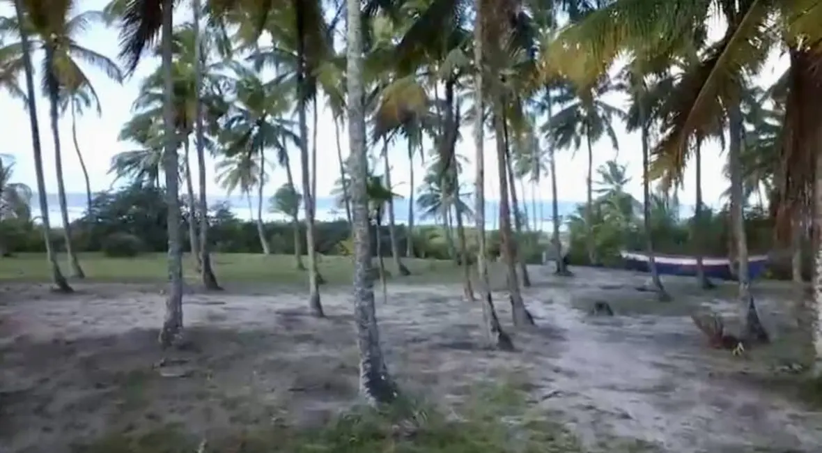 Foto 3 de Terreno / Lote à venda, 97000m2 em Marau - BA
