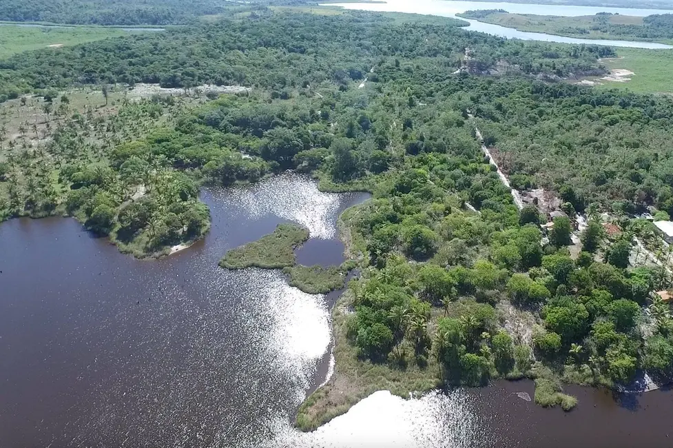 Foto 5 de Terreno / Lote à venda, 91500m2 em Marau - BA