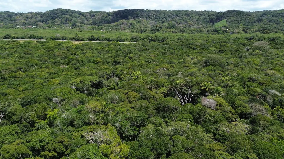 Terreno / Lote à venda, 240000m2 em Ilheus - BA - imagem 6 Foto 6 de Terreno / Lote à venda, 240000m2 em Ilheus - BA