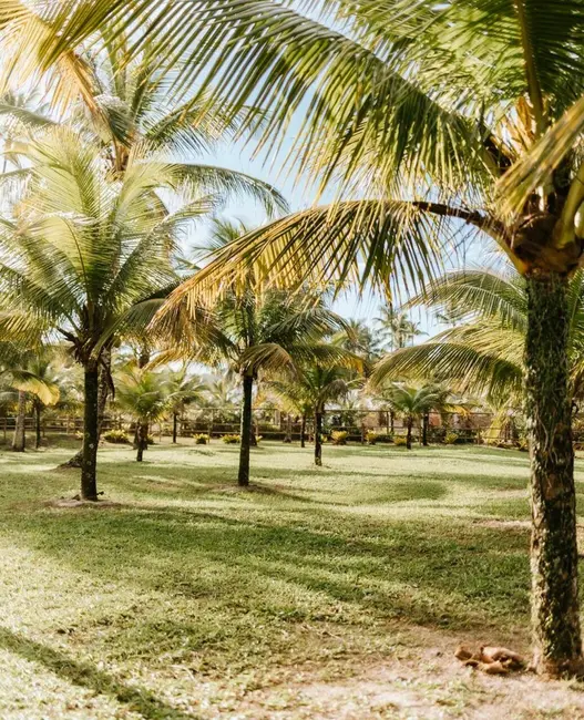 Foto 3 de Terreno / Lote à venda, 112000m2 em Urucuca - BA