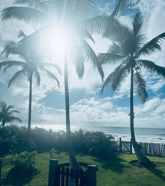 Foto 6 de Terreno / Lote à venda, 15000m2 em Marau - BA