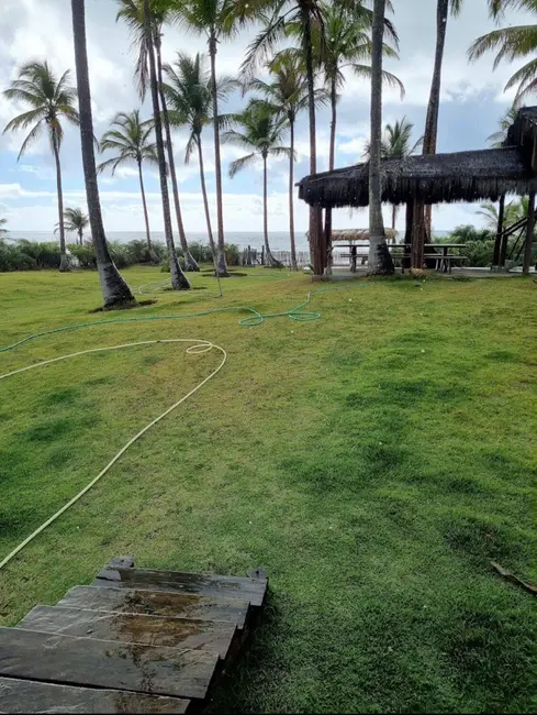 Foto 2 de Terreno / Lote à venda, 15000m2 em Marau - BA