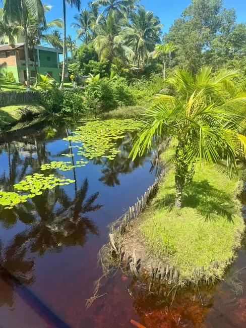 Foto 5 de Terreno / Lote à venda, 15000m2 em Marau - BA