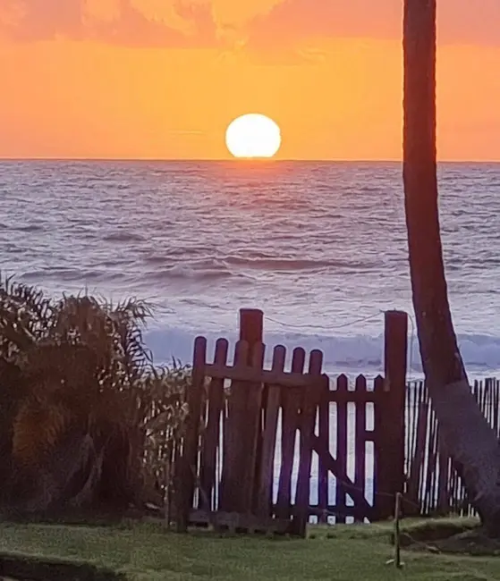 Foto 3 de Terreno / Lote à venda, 15000m2 em Marau - BA