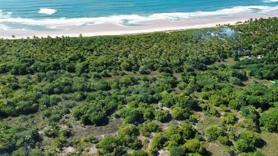 Foto 4 de Terreno / Lote à venda, 200000m2 em Marau - BA