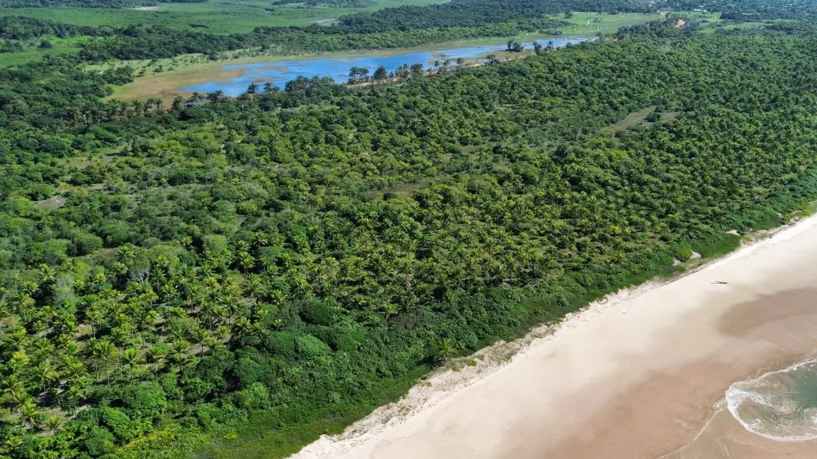 Foto 3 de Terreno / Lote à venda, 200000m2 em Marau - BA