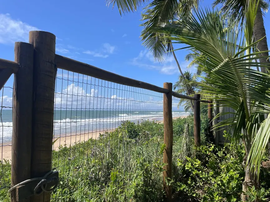 Foto 6 de Casa com 4 quartos à venda, 975m2 em Marau - BA