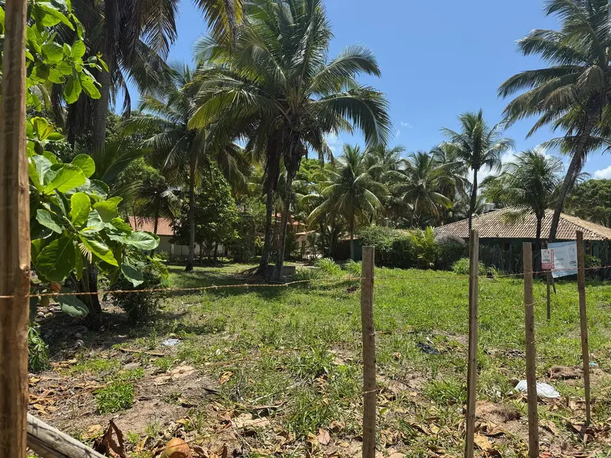 Terreno / Lote à venda, 1000m2 em Marau - BA - imagem 4 Foto 4 de Terreno / Lote à venda, 1000m2 em Marau - BA