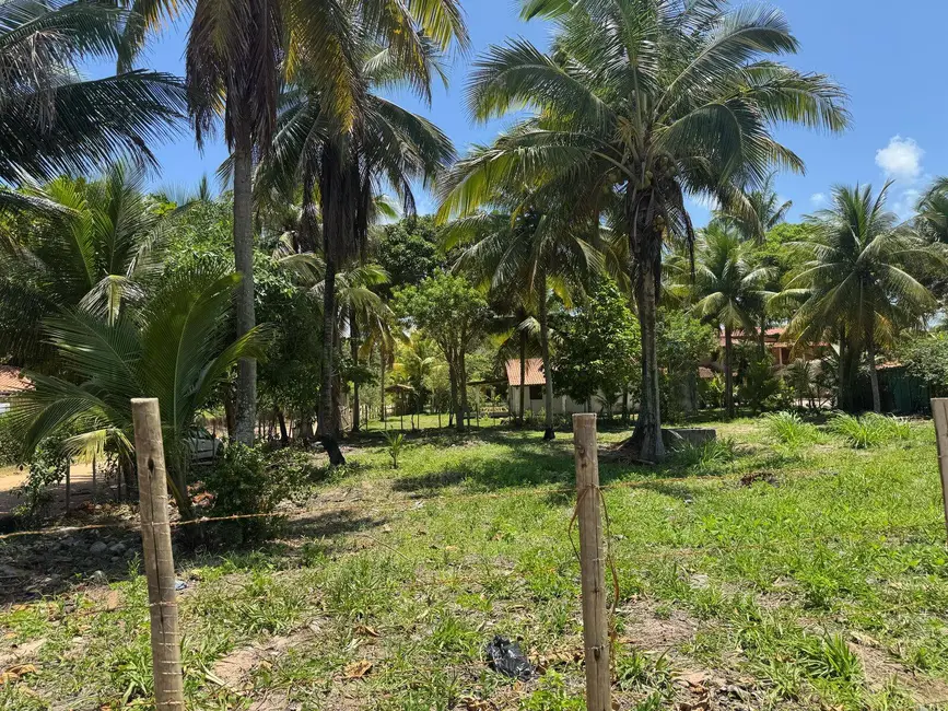 Terreno / Lote à venda, 1000m2 em Marau - BA - imagem 1 Foto 1 de Terreno / Lote à venda, 1000m2 em Marau - BA