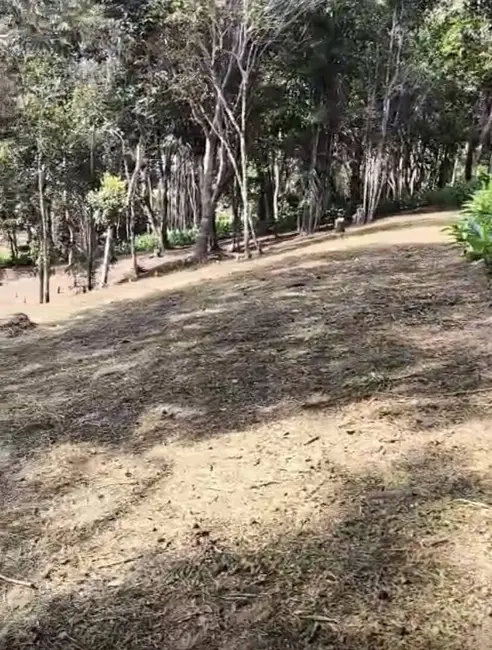 Foto 7 de Terreno / Lote à venda, 30000m2 em Urucuca - BA