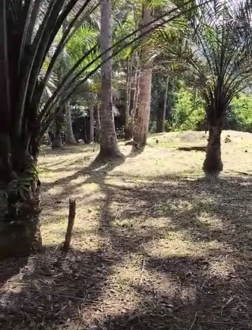 Foto 2 de Terreno / Lote à venda, 30000m2 em Urucuca - BA