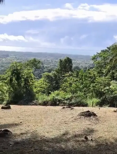Foto 9 de Terreno / Lote à venda, 30000m2 em Urucuca - BA