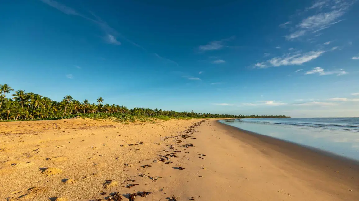 Foto 7 de Lote de Condomínio à venda e para alugar, 20000m2 em Santa Cruz Cabralia - BA