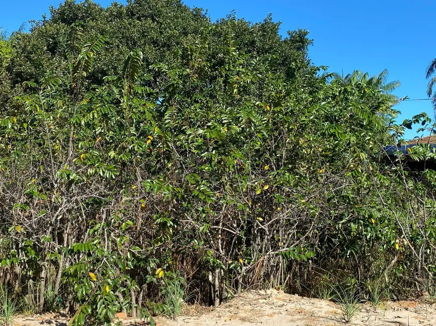 Foto 6 de Terreno / Lote à venda, 1200m2 em Marau - BA