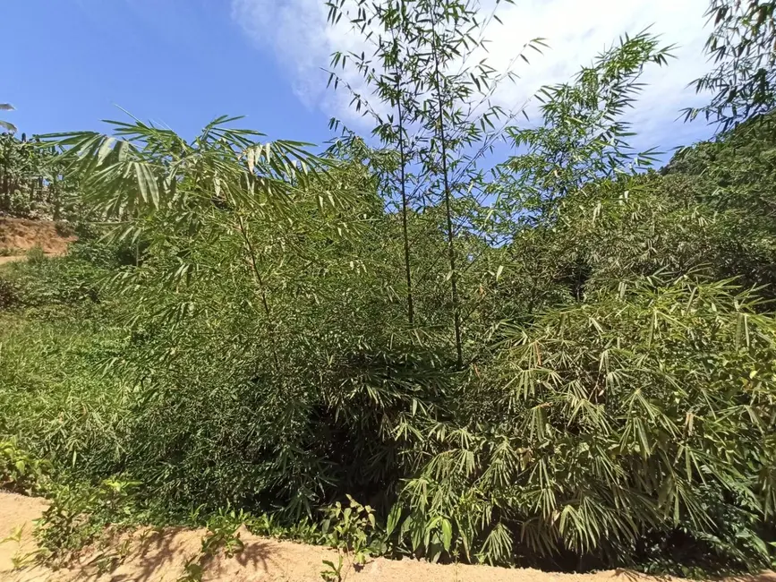 Foto 8 de Fazenda / Haras à venda, 222m2 em Marau - BA