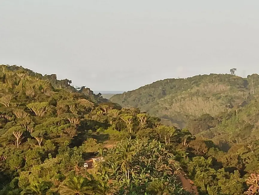 Foto 2 de Fazenda / Haras à venda, 222m2 em Marau - BA