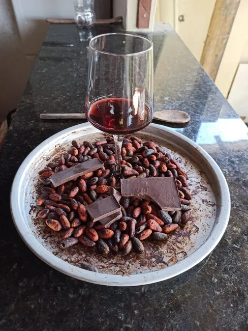 Foto 4 de Fazenda / Haras à venda, 222m2 em Marau - BA