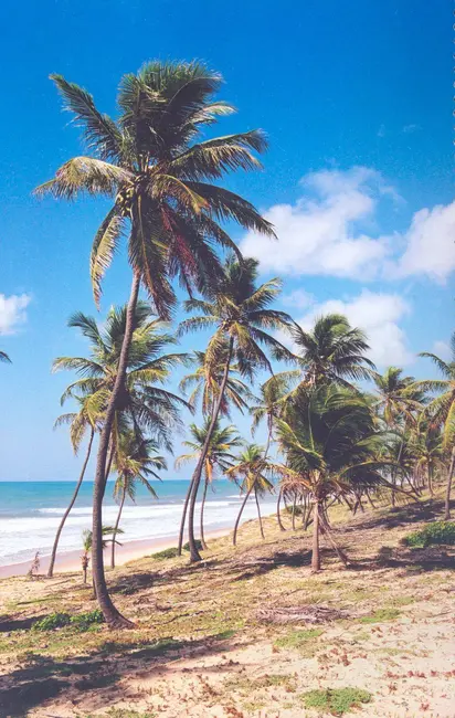 Foto 4 de Terreno / Lote à venda, 70m2 em Conde - BA