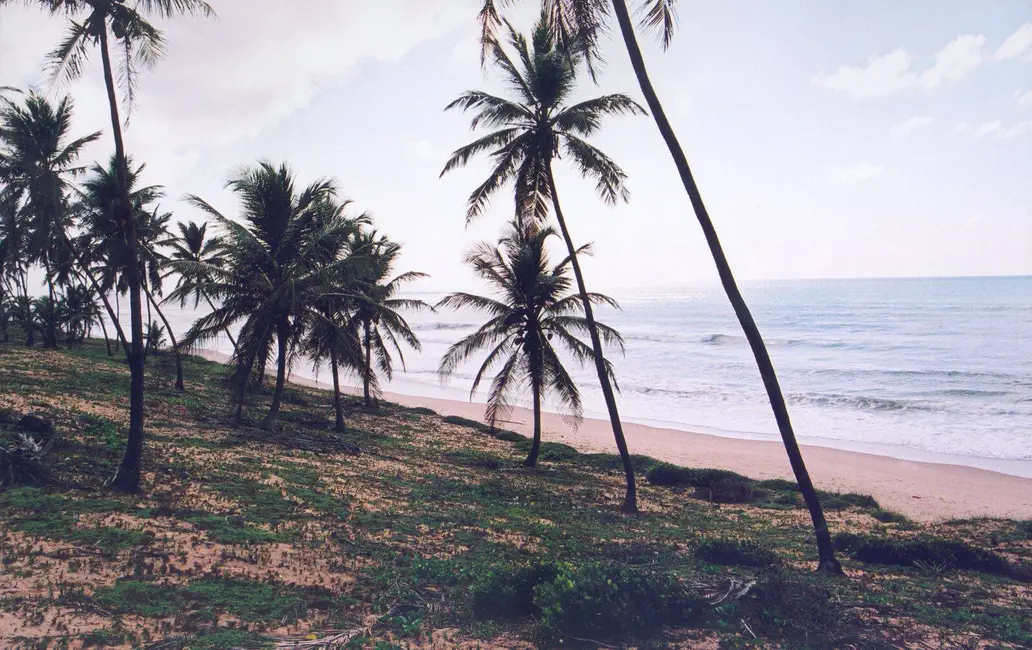 Foto 3 de Terreno / Lote à venda, 70m2 em Conde - BA