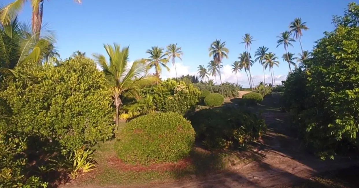 Foto 2 de Terreno / Lote à venda, 2150m2 em Marau - BA