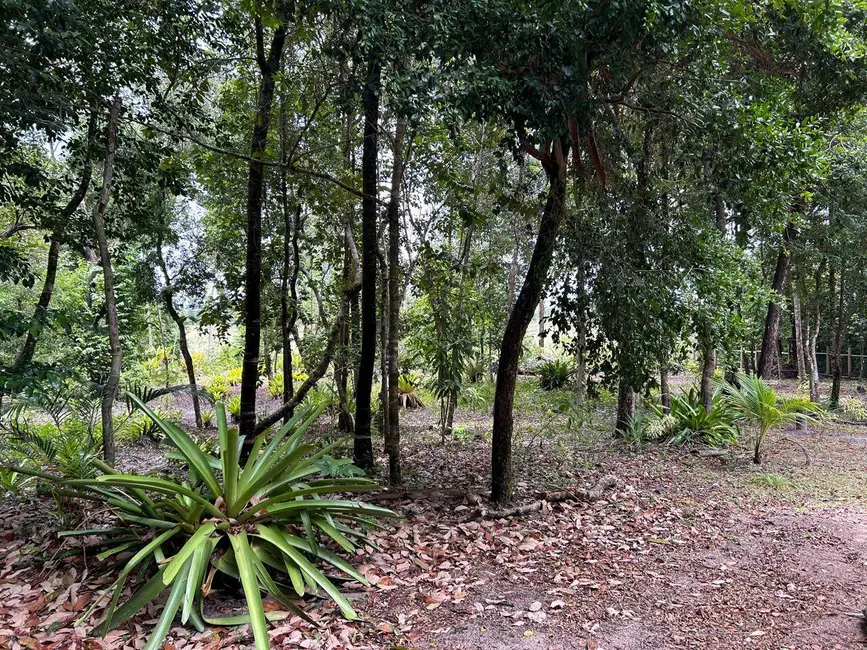 Foto 9 de Casa com 1 quarto à venda, 5000m2 em Marau - BA