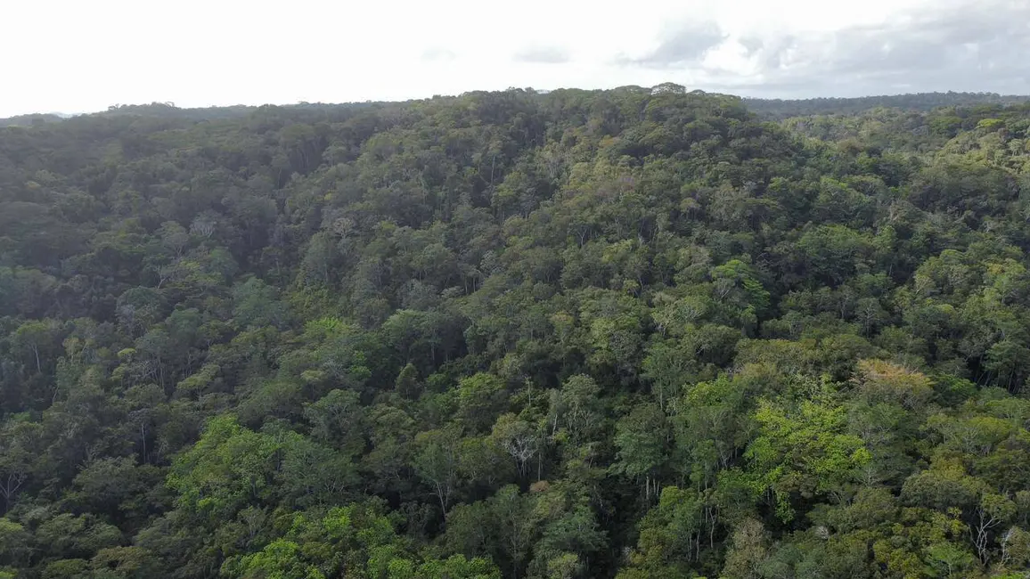 Foto 4 de Fazenda / Haras à venda, 429m2 em Marau - BA