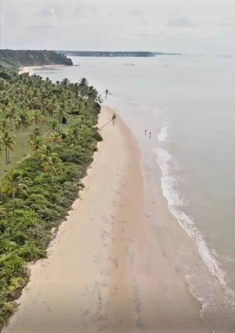 Foto 9 de Terreno / Lote à venda, 20000m2 em Porto Seguro - BA