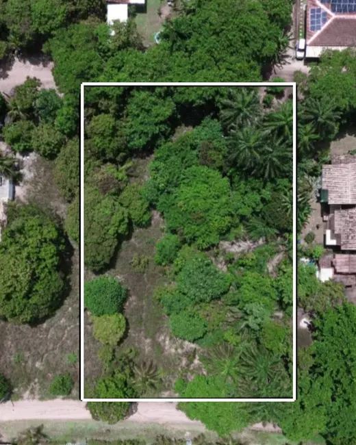 Foto 3 de Terreno / Lote à venda, 600m2 em Marau - BA