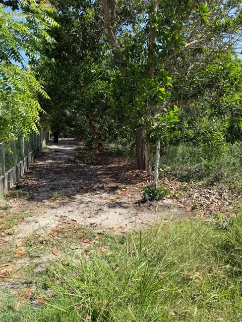 Foto 2 de Terreno / Lote à venda, 768m2 em Marau - BA