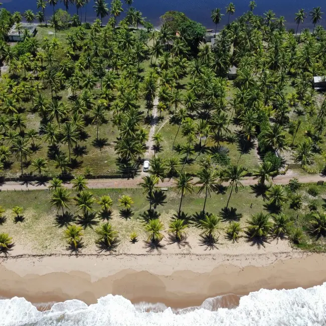 Foto 2 de Terreno / Lote à venda, 12867m2 em Marau - BA